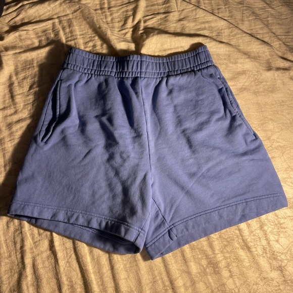 Aritzia Shorts - Picture 1 of 3